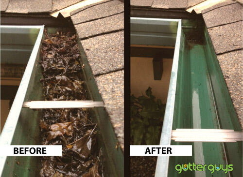 Gutter Cleaning