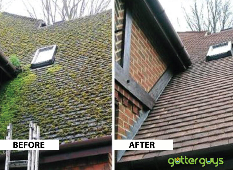 Roof Cleaning